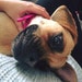 Buyer Avatar