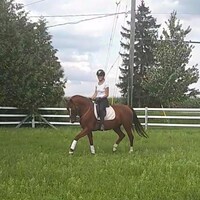 EquineWears