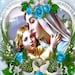 Blue Rose Collection