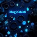 Majd M