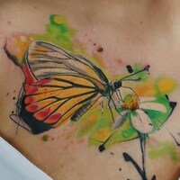 ButterflyWonderland