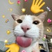Leroydacat