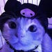 LittleWebFinds