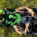 Buyer Avatar