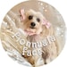 Buyer Avatar