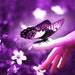 Buyer Avatar