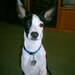 gerrick1 avatar
