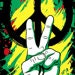 Adan Quinn avatar