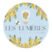 Les Lumieres Designs