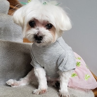 MinniesBootique
