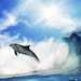 SunnyWaves avatar