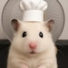 Milkshake The Hamster