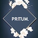PRITUM Support