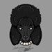 Buyer Avatar