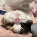 Maeleigh