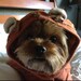 User photo