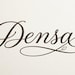 DENSAinternational
