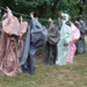 Timeless Treasures Vanilla /shell / B2781 /BTHY /BTY /cut Continuous - Etsy