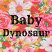 Baby Dynosaur