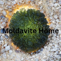 MoldaviteHome
