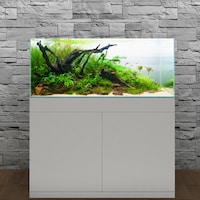 Aqualexs