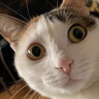 DigitalAnnouncements