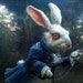 Jamie Webster avatar