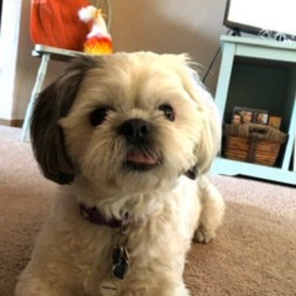 Retro 80s Digital Files, SVG PNG JPG, Clipart, Cut Files, Printable ...