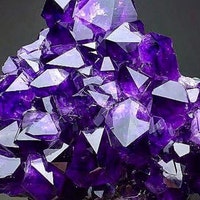 LifeForceMinerals