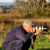 LongBranchPhotoArt