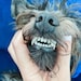 Buyer Avatar