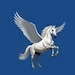 PegasusImports