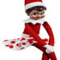 TheZippyElf