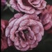 Buyer Avatar