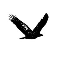 StayWildCo StayWildCo