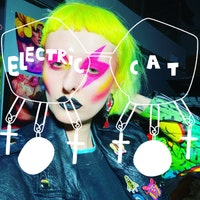 ElectricCatShop