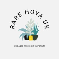 RareHoyauk
