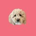Millie