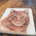 CoasterCraftGifts