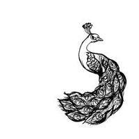 TheLazyPeacock