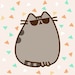 Buyer Avatar