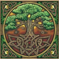 MagicRavenShop