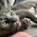Buyer Avatar