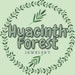 Hyacinth Forest