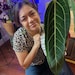 GivingEarthGarden