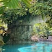 Coves Jewels