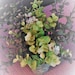 Buyer Avatar