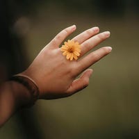 MicroGardenerOfMinna