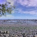 BeachToMe