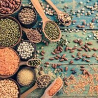 FloraSeeds